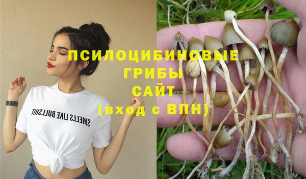 молекула духа Абаза