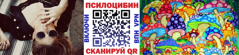 Галлюциногенные грибы Psilocybe Исилькуль